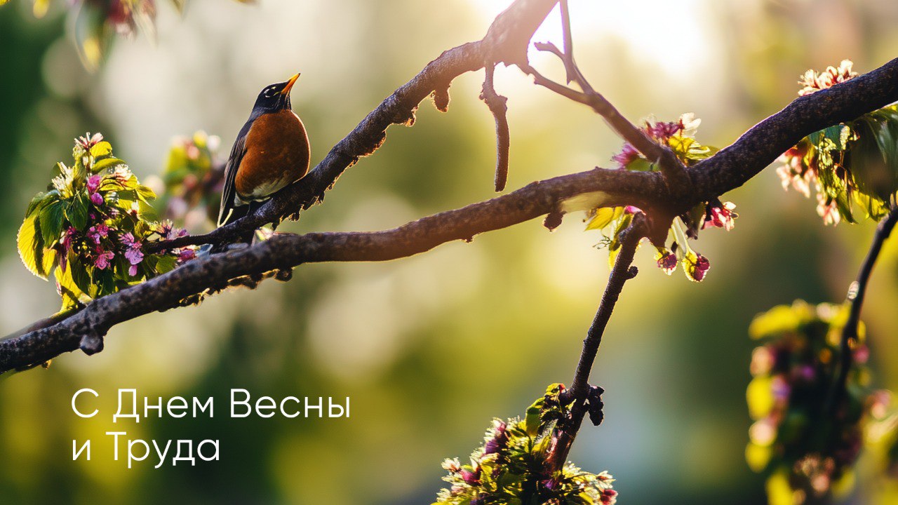 С Днём Весны и Труда!