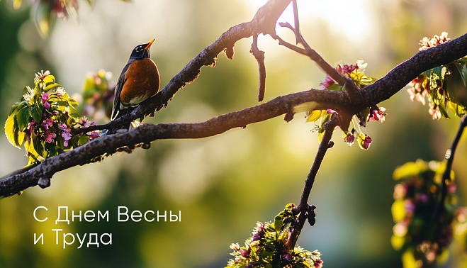 С Днём Весны и Труда!