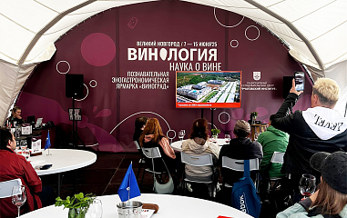 Девелопер Bravo выступил партнёром крупного фестиваля 